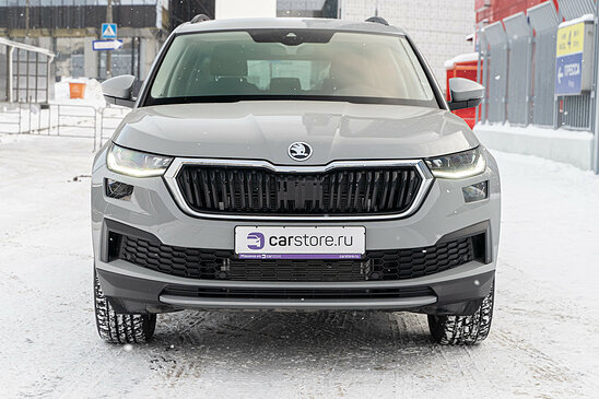 Skoda Kodiaq 2.0 TSI 4WD DSG (180 л.с.) Ambition Plus