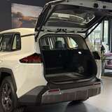 Toyota RAV4 2.0 4WD CVT (171 л.с.) Luxury