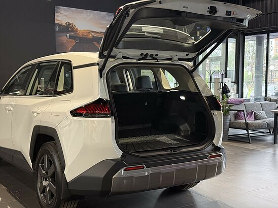 Toyota RAV4 2.0 4WD CVT (171 л.с.) Luxury