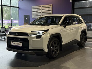 Toyota RAV4 2.0 4WD CVT (171 л.с.) Luxury